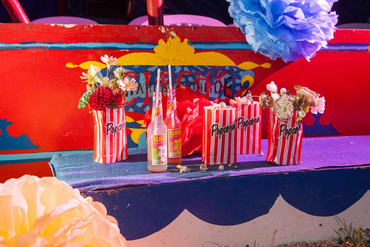 AWS Denise und Thomas Circus bunt 174