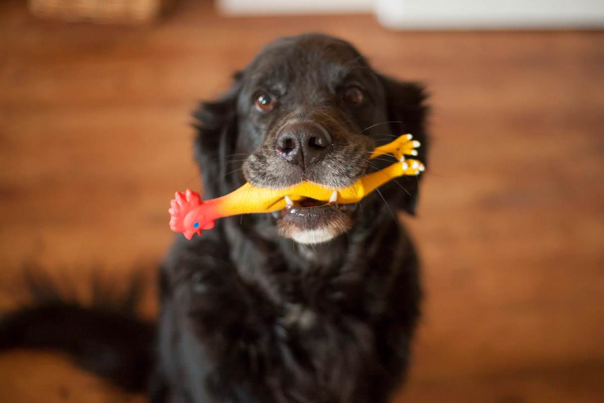 FamilieKolter2013-023