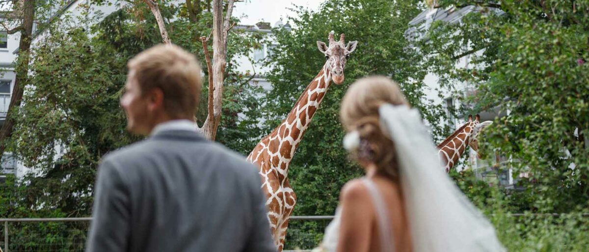 Heiraten im Zoo